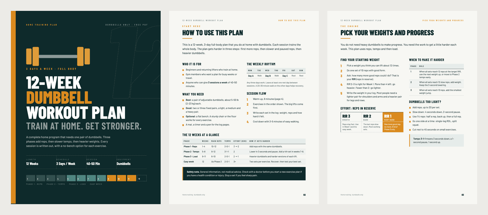 12-Week Dumbbell Workout Plan PDF, the first three pages