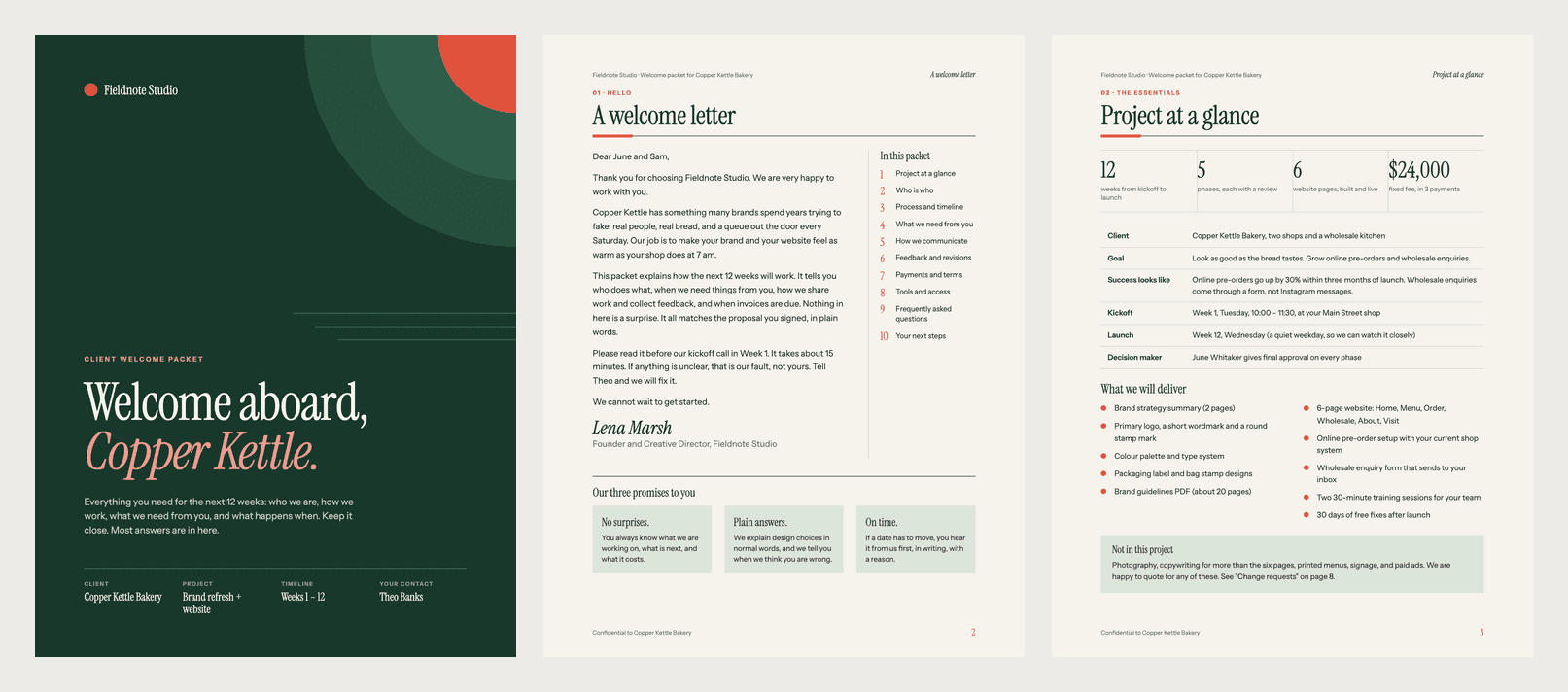 Client Onboarding Packet Example (PDF), the first three pages